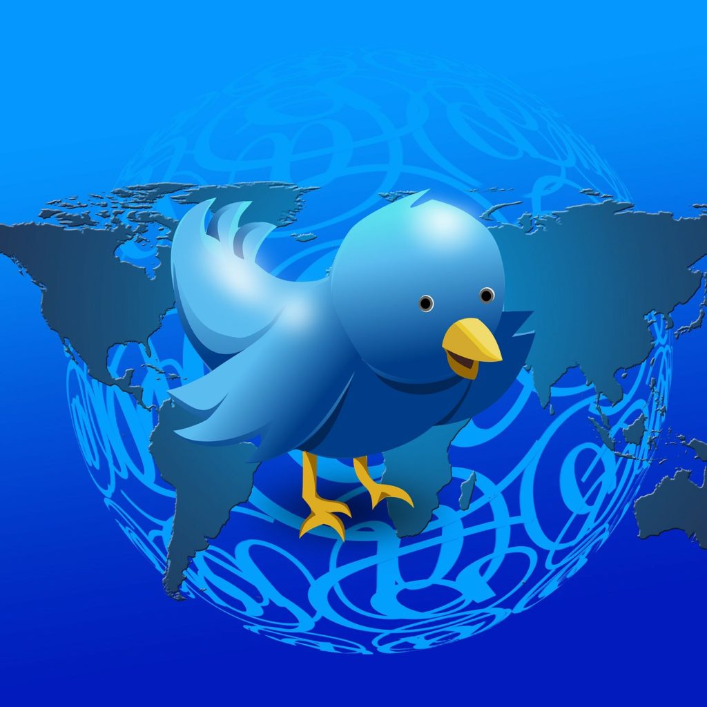 Twitter bird icon