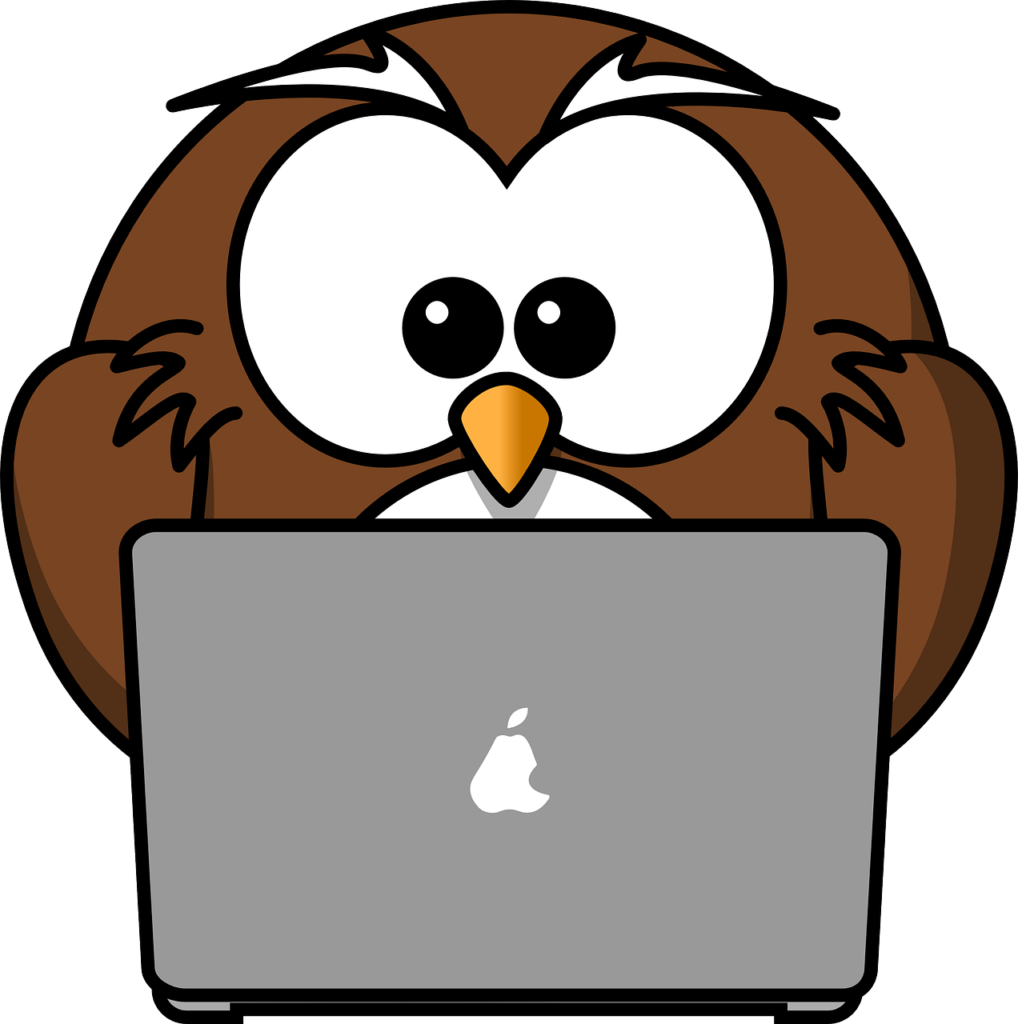 Owl using pc to blog