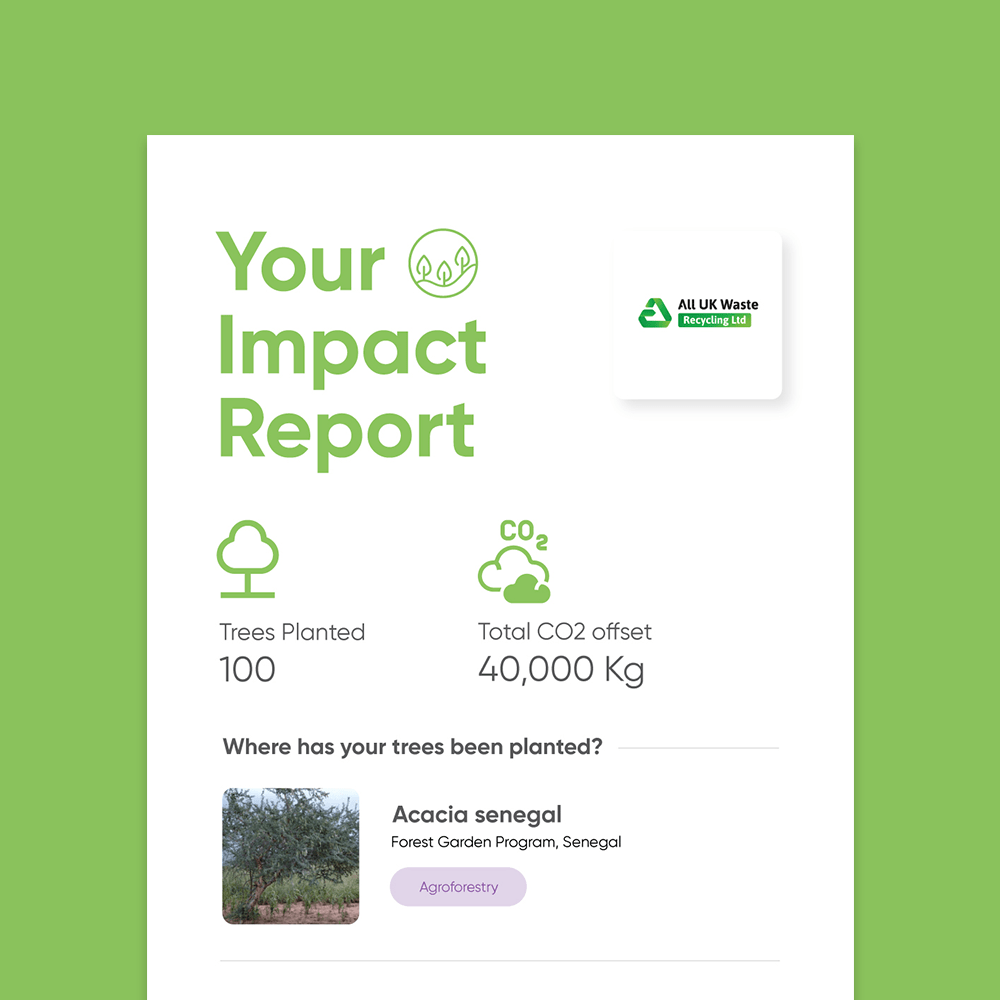 Monthly Impact Report